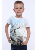 Boy\'s dinosaur T-shirt NDZ4510 - Online store - Boutique